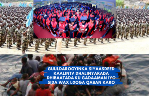 GUULDARADA SIYAASADEED