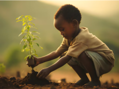 Save the environment by Planting Trees Trees are essential for people, wildlife and the environment.