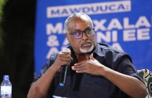 Maxamed Cabdi Waare: Soomaaliya wax dan ah uguma jirto kala jeclaanshaha Itoobiya iyo Masar