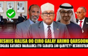 DEGEG FARIIN KU SOCOTA BULSHADA ARLIYA + GUULDAROOYINKA TAARIIKHEED EE INAGU DHACAY YAA KA MASUULA